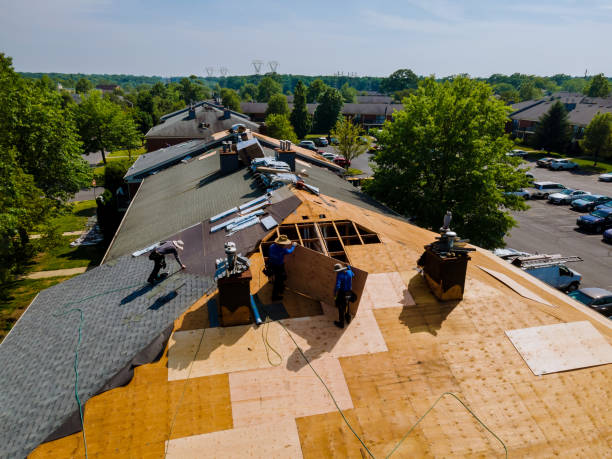 Best Storm Damage Roof Repair  in Oakhurst, CA