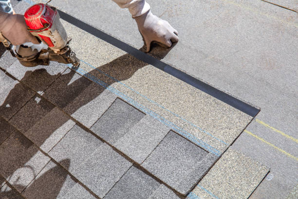 Best Roof Gutter Cleaning  in Oakhurst, CA
